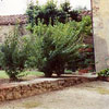 Giardino della casa di Mario Pratesi, Via San Leonardo, Firenze